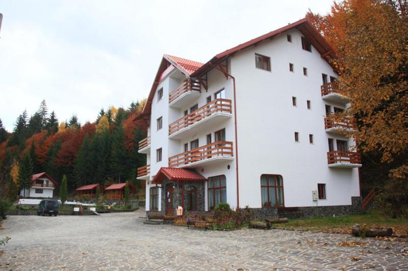 Hotel Paltinis Statiunea Exterior foto